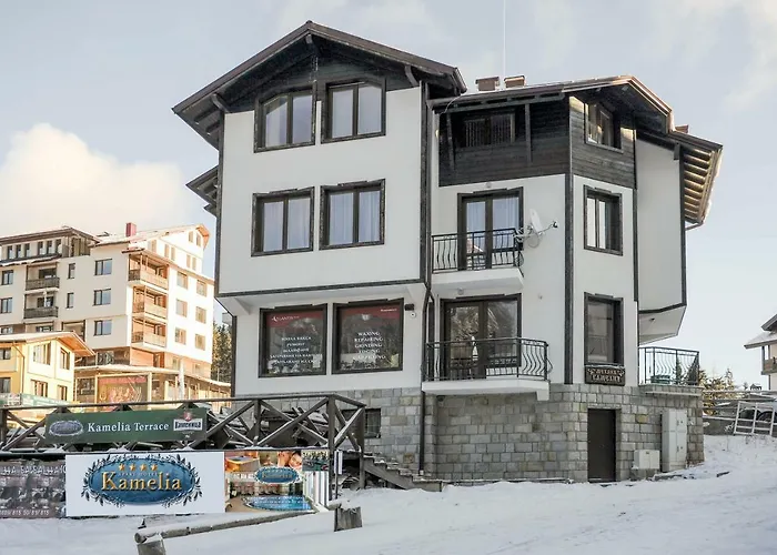 за гости в къща камелия 3* Pamporovo